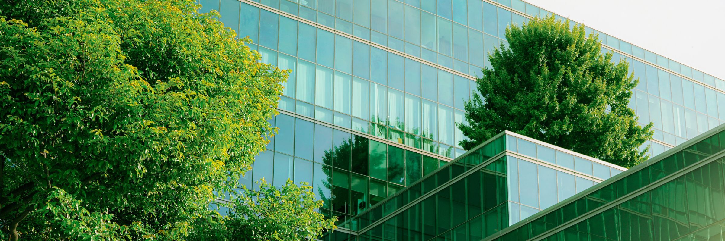 Header afbeelding 1 CC gespiegeld 2400 x 800 px 1