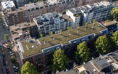 IVVD VS31 The Urban Jungle Project 2