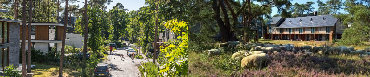 IVVD Wonen midden in de natuur 1