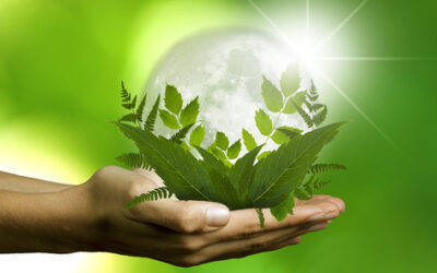 IVVD zorgfonds 400x250