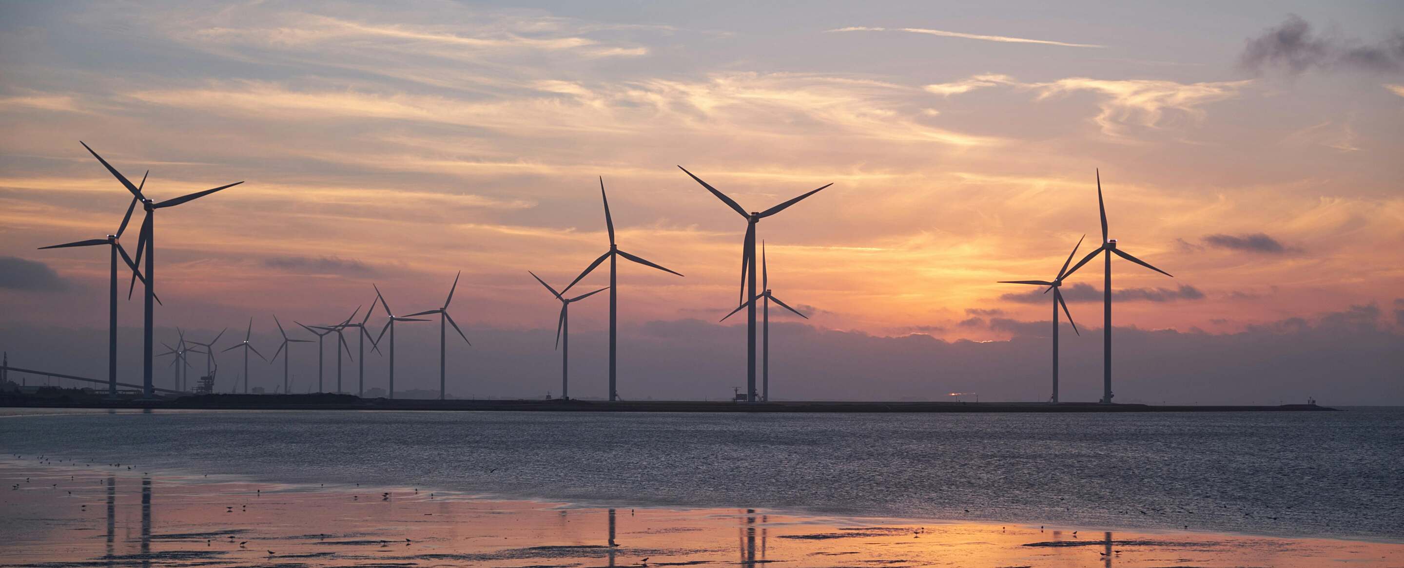 IVVD | AI versnelt energietransitie