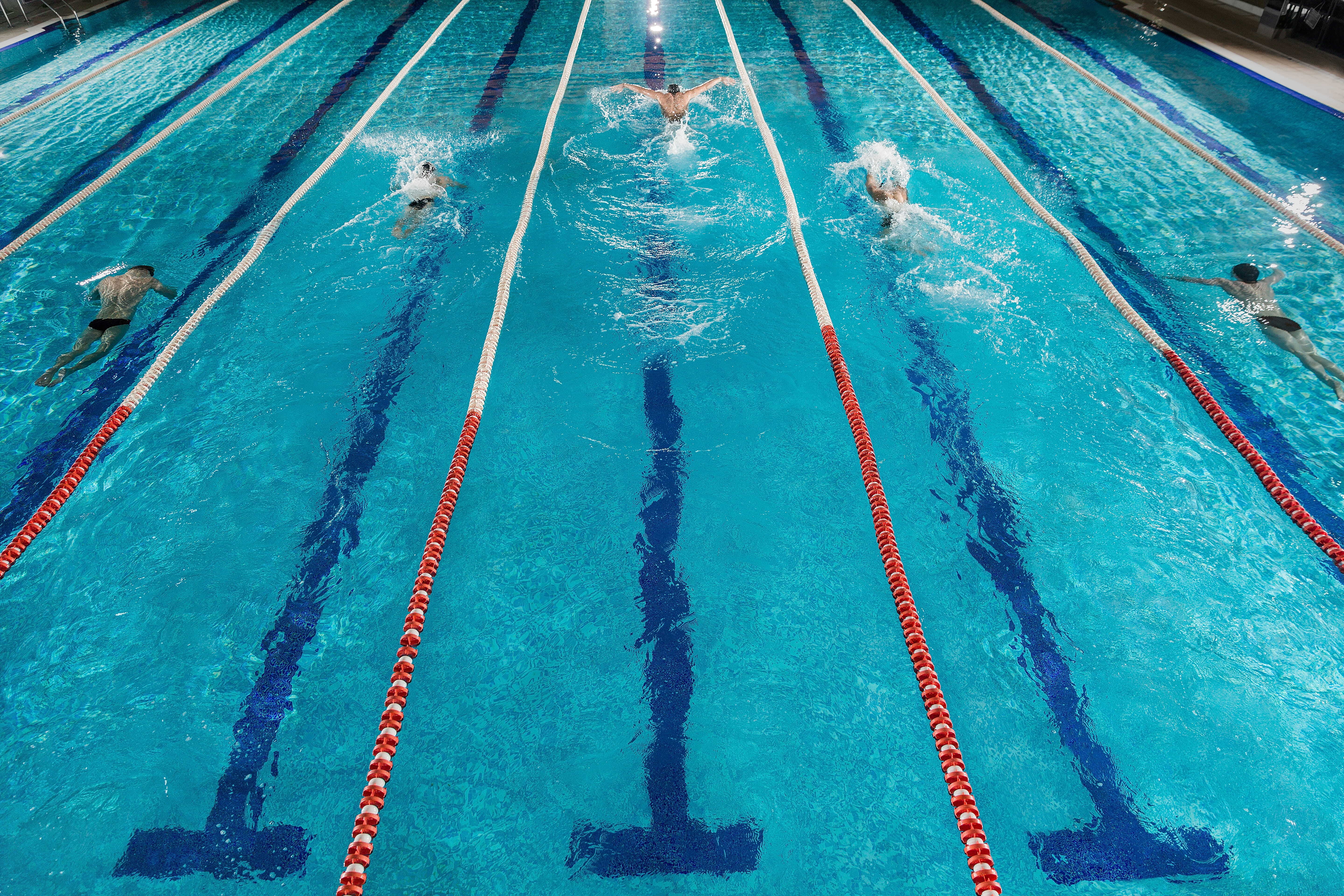 Five swimmers racing against each other swiming pool 1