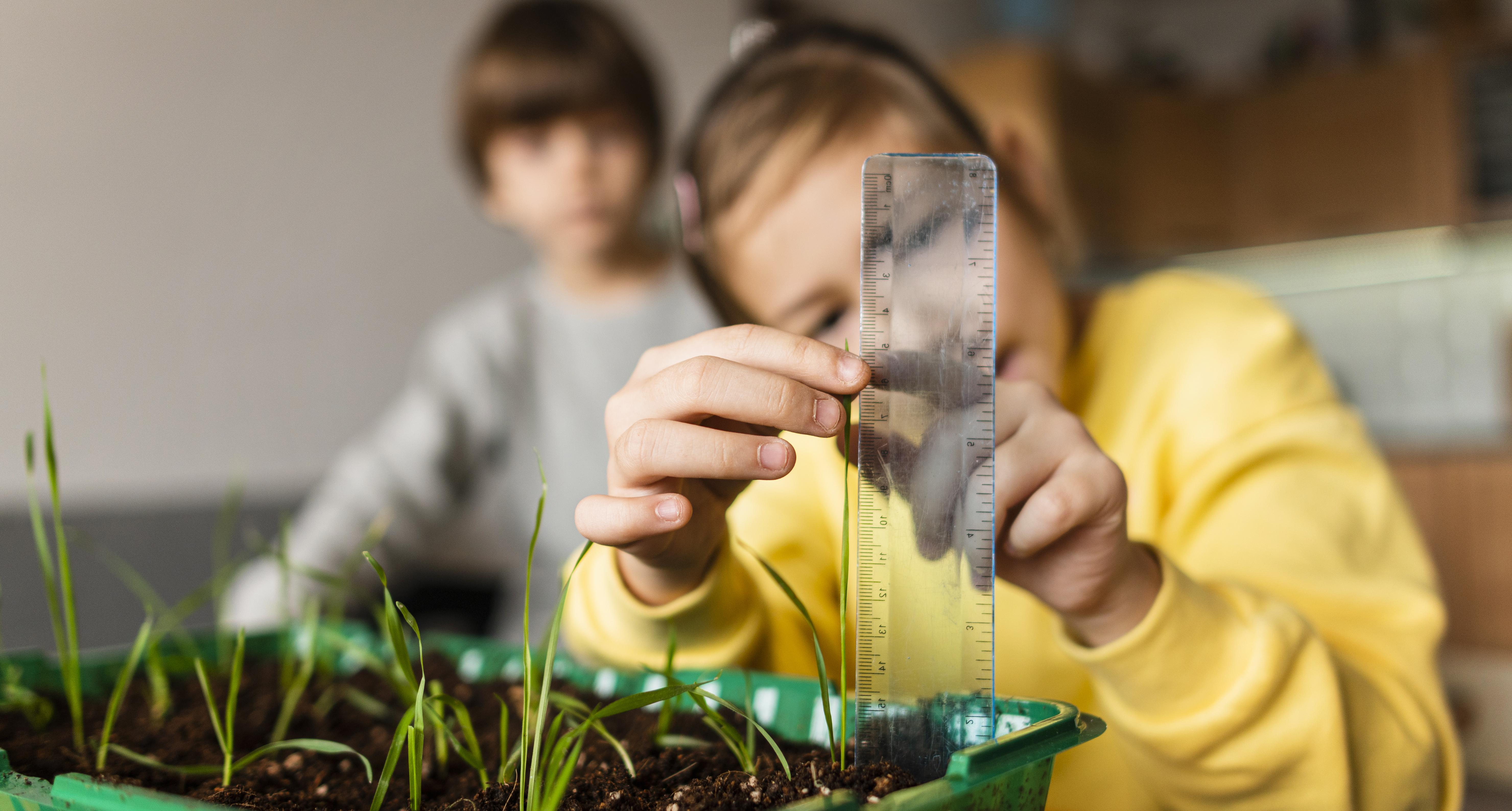 Front view little girl measuring sprouts growing home