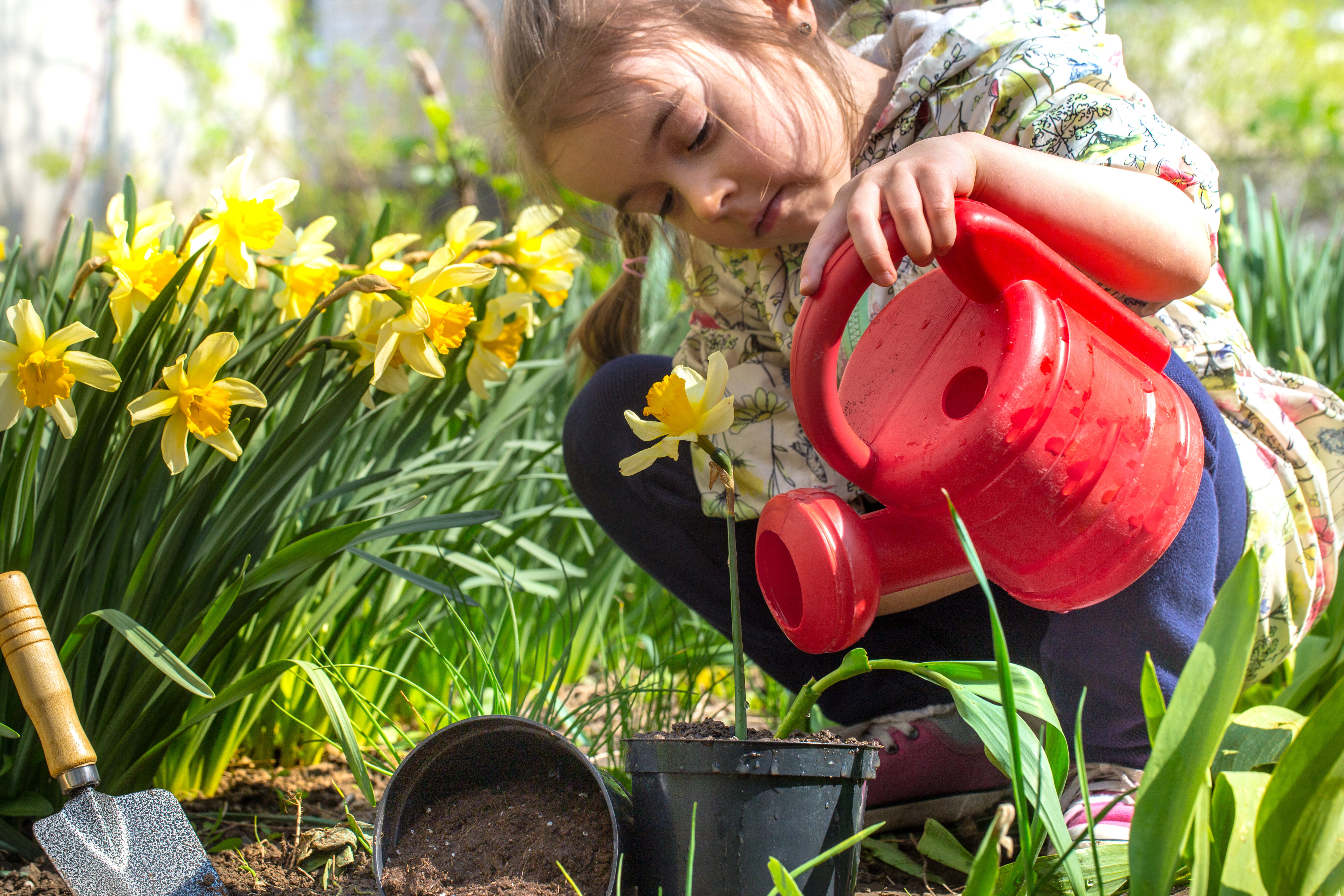 Little girl planting flowers garden