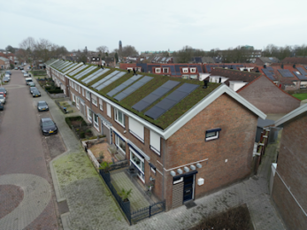 IVVD VS31 Groene daken