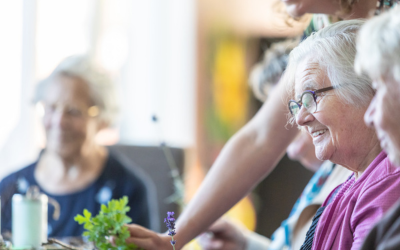 IVVD VS32 Magazine groot Hof van Jacob Zenzo