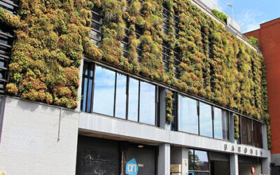 IVVD Breda groen voorbeeld1