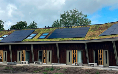 IVVD Groene alternatief pannendak