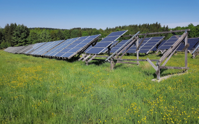 IVVD agenda Natuurinclusief3