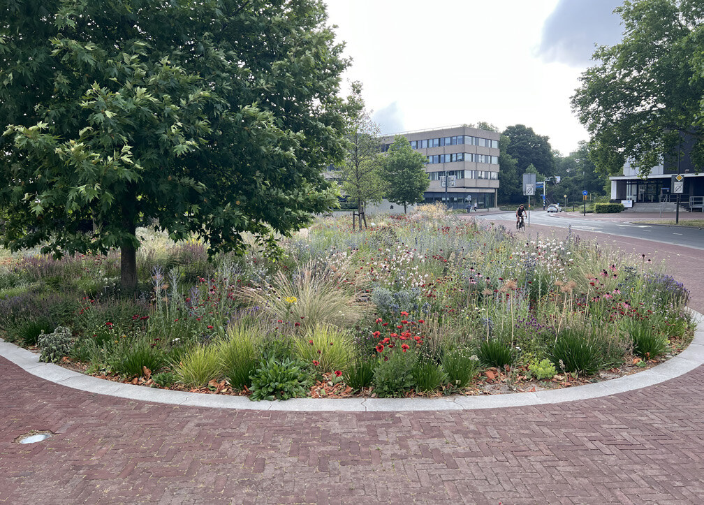Tuin foto